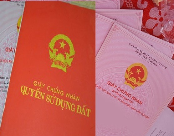 so-hong-la-gi-du-an-hai-phong
