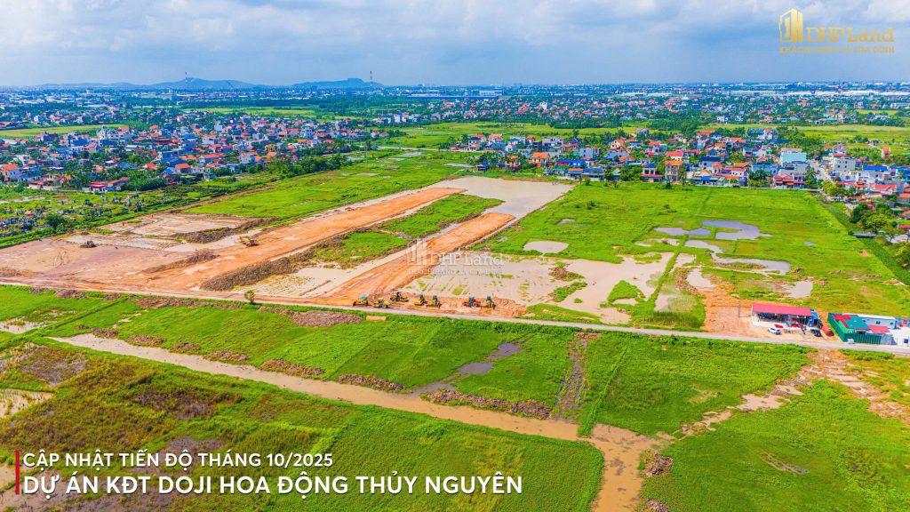 tiến độ Doji Emerald Symphony | Doji Hoa Động tiến độ Doji Emerald Symphony | Doji Hoa Động