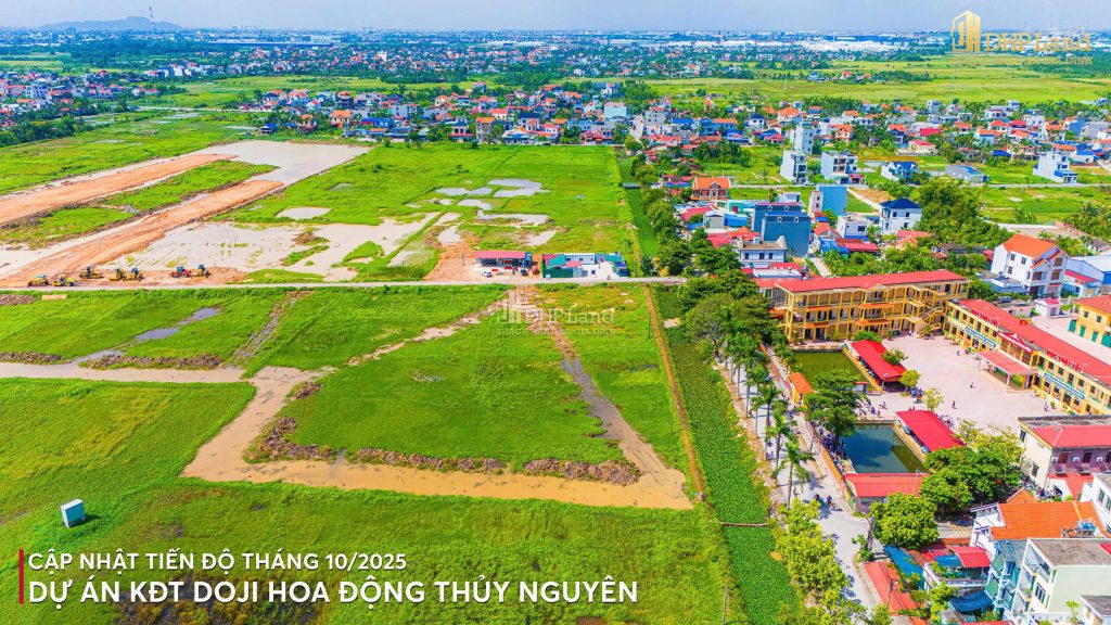 tiến độ Doji Emerald Symphony | Doji Hoa Động tiến độ Doji Emerald Symphony | Doji Hoa Động